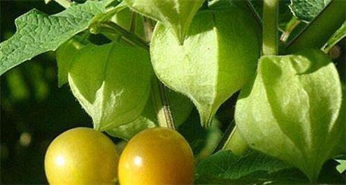 有没有可能在本国当地区人均GDP条件下 实现共产主义?“必一运动官网”(图3) 必一运动bsport体育