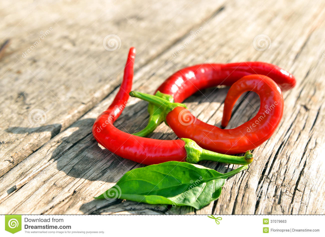 ‘必一运动’孟鹤堂初尝失利、“battle锦鲤”晋级,《相声有新人》全国九强震撼揭晓!(图1) 必一运动