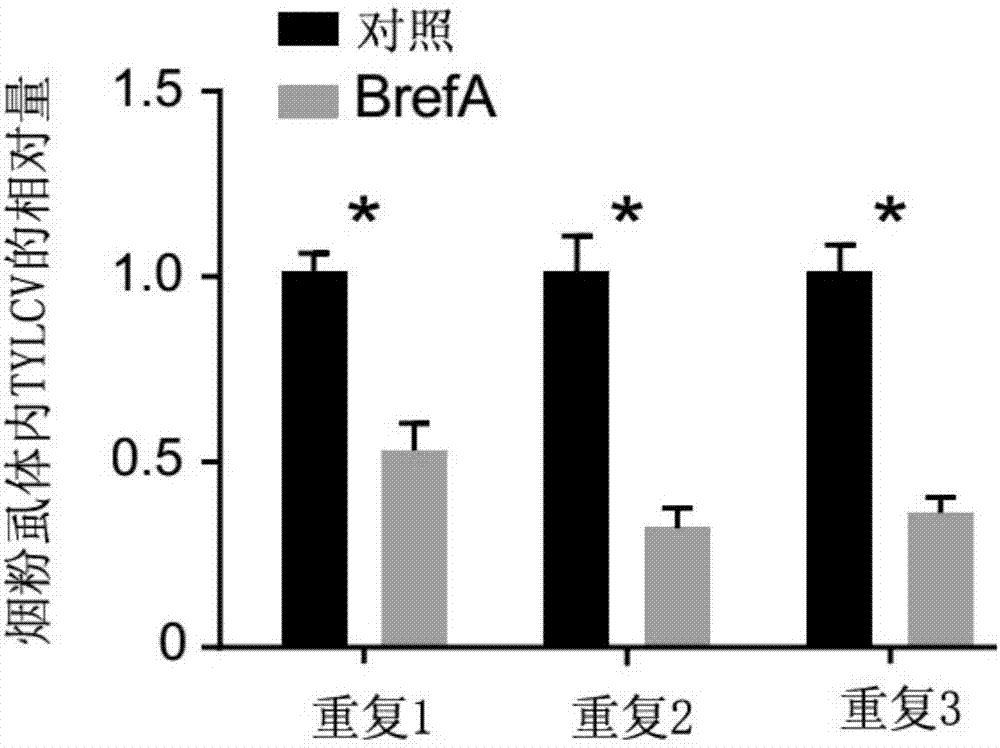 “咬铅笔超铅论”是权力在耍流氓“bsports必一体育”(图1) bsports必一体育