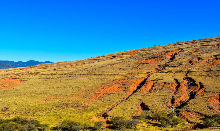 必一运动-新世界金海结局是什么 网友气的吐槽导演和编剧(图1) 必一运动官网