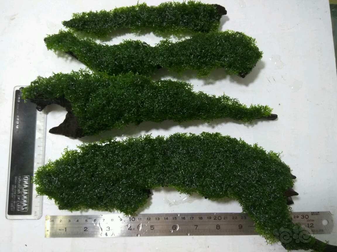 【必一运动】《你好旧时光》和《最好的我们》是什么关系 故事有关联吗(图4) 必一运动