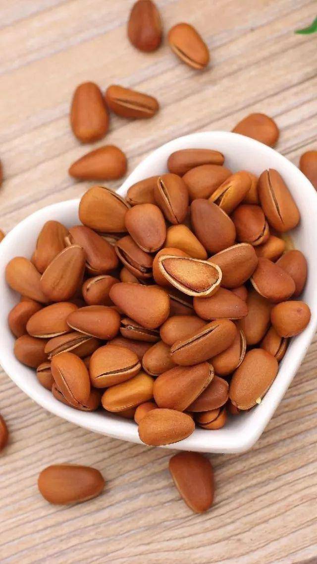 必一运动bsport体育