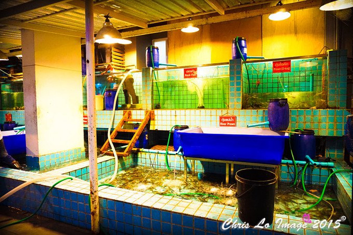 安家张乘乘结局是什么 聪明反被聪明误太解气了【必一运动官网】(图1) 必一运动bsport体育