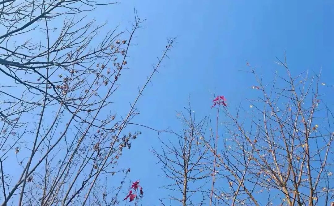 “双11”,快递业出新规_必一运动bsport体育(图1) 必一运动bsport体育