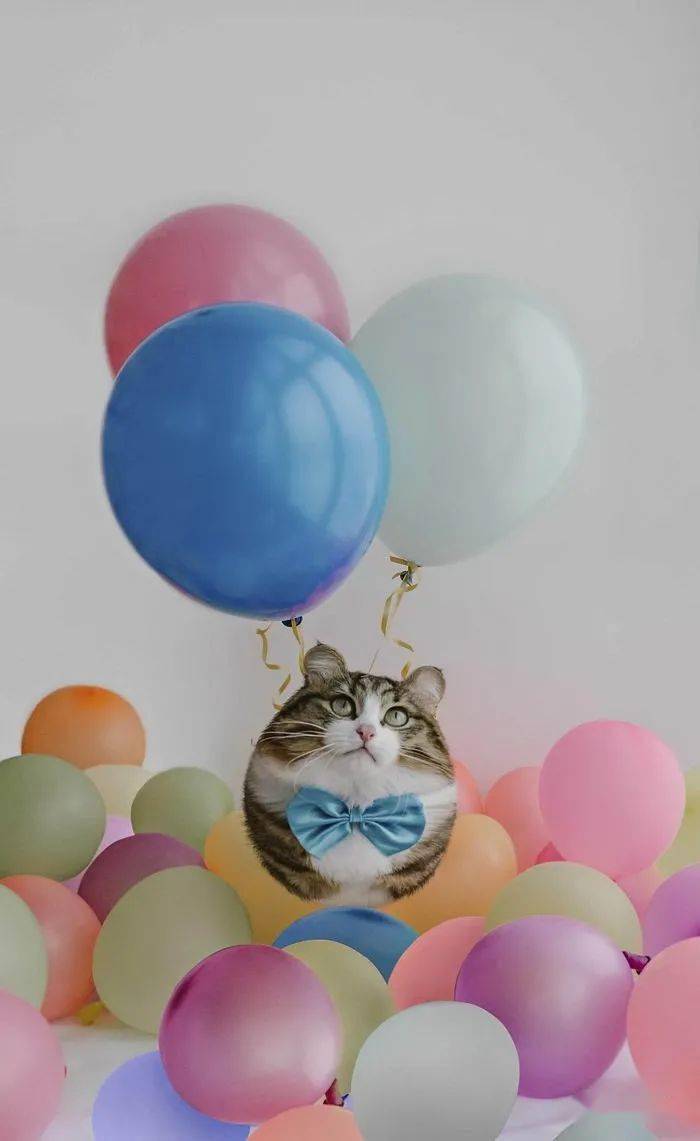 
如果这个星球上的所有动物都是胖胖的 他们会是什么样子？“bsports必一体育”(图14)