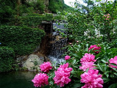 必一运动bsport体育