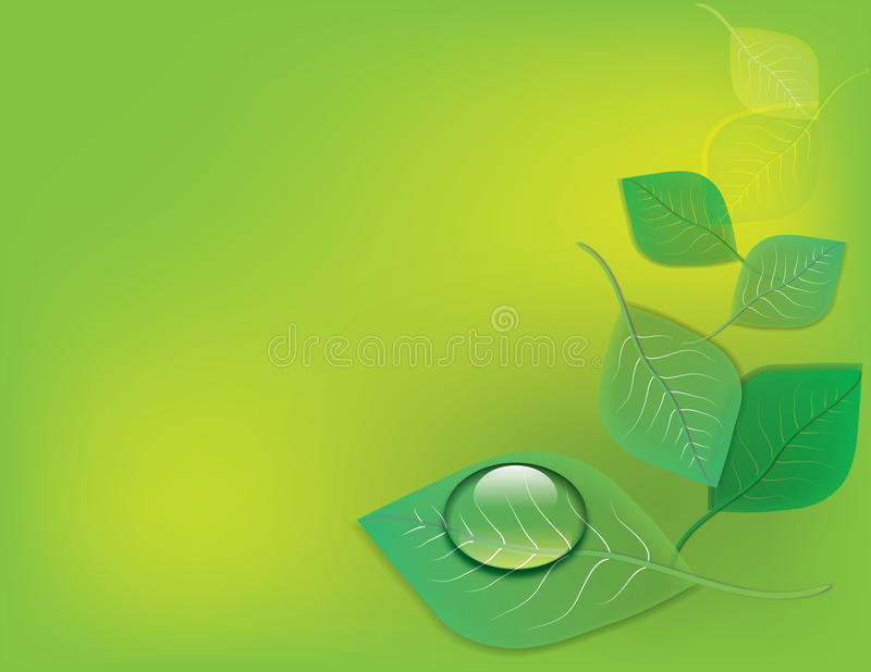 必一运动bsport体育