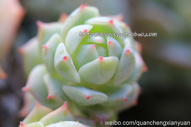 必一运动bsport体育