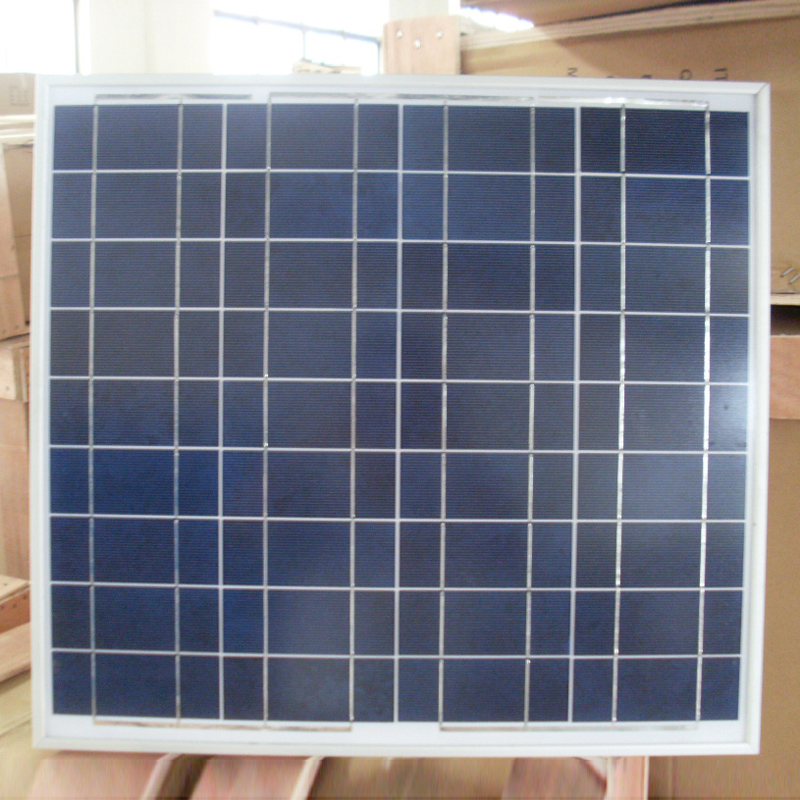 《晓说》杨蕊蕾问“女生的世纪难题” 高晓松:别再选择吴彦祖:必一运动bsport体育(图1) bsports必一体育