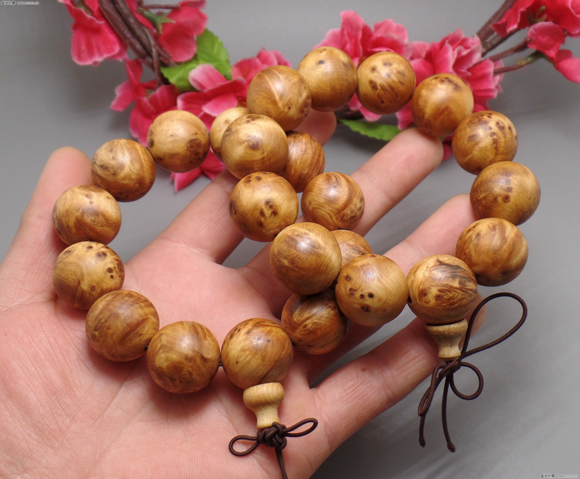 必一运动bsport体育