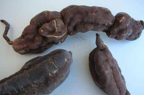 必一运动bsport体育