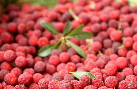 必一运动官网-景区“拥堵红线”不能成摆设(图1) 必一运动官网