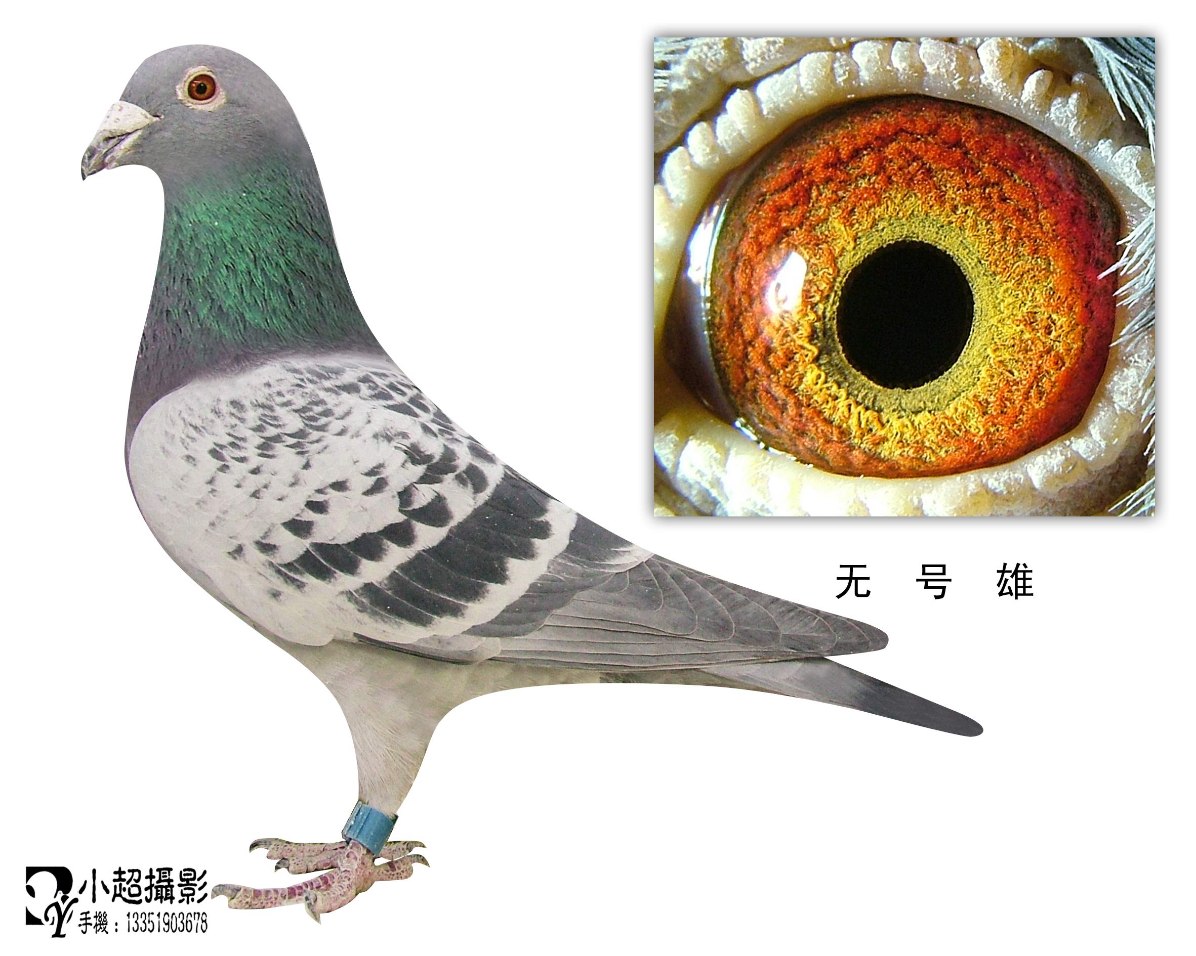 “必一运动”心灵法医明川是什么人 揭秘明川真实身份及结局是什么(图1) 必一运动官网